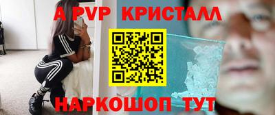 соль ск Славгород