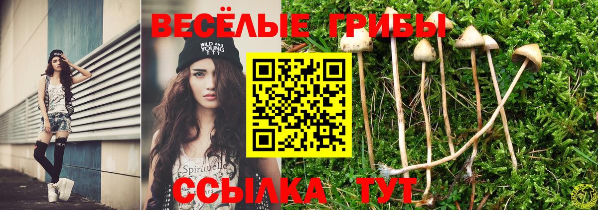 Нижнекамск  Галлюциногенные грибы прущие грибы  Вход с VPN 
